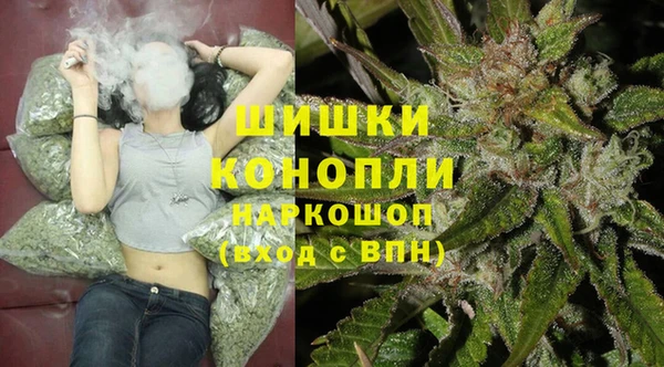 индика Приозерск