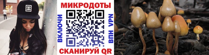 Галлюциногенные грибы MAGIC MUSHROOMS  как найти закладки  Питкяранта 